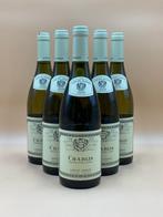 2024 Louis Jadot, Chablis - Chablis - 6 Fles (0,75 liter), Verzamelen, Nieuw