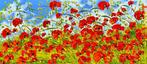 Patrizia Schüller - Weites Mohnblumenfeld - strahlende, Antiek en Kunst
