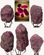 102,5 ct - Prachtige partij Corundum variëteit Ruby,, Verzamelen, Mineralen en Fossielen