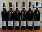 2019 Paolo Magi, Magi Gold Label Edition - Brunello di, Nieuw