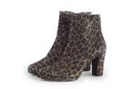 Linea Zeta Enkellaarzen in maat 36 Panter | 10% extra, Kleding | Dames, Overige kleuren, Verzenden, Lage of Enkellaarzen, Zo goed als nieuw
