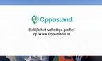 Ik ben Jolien en ik zoek oppaswerk in Gasselternijveen.