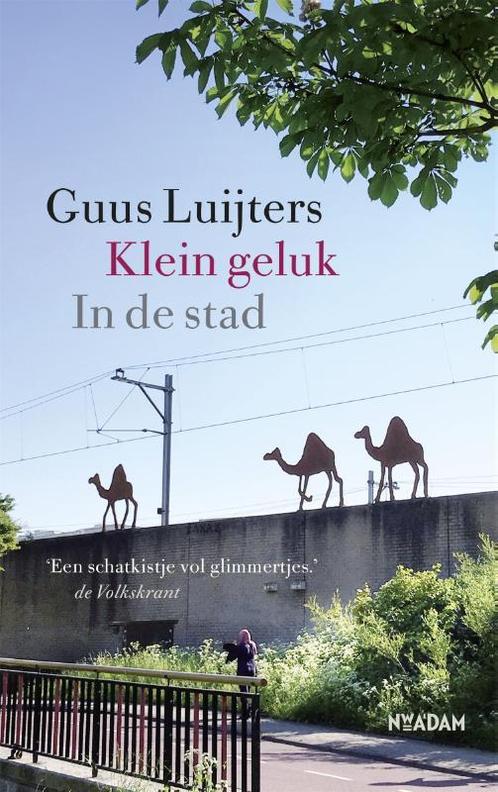 Klein geluk in de stad 9789046824450 Guus Luijters, Boeken, Literatuur, Gelezen, Verzenden