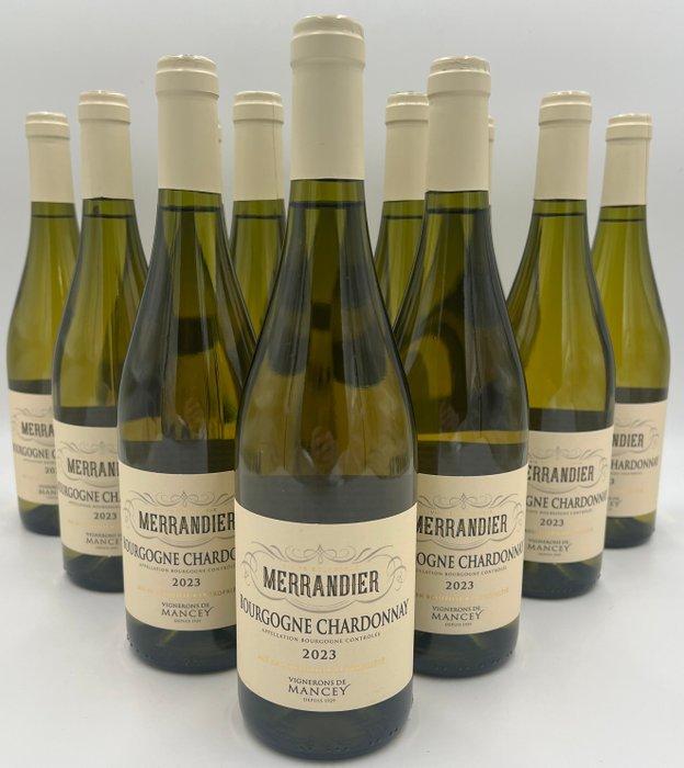 2023 Merrandier Bourgogne Chardonnay - Bourgogne - 12, Verzamelen, Wijnen