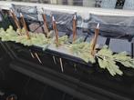 Actie led kaarsen annas collection – 3d flame candle koper, Ophalen of Verzenden, Nieuw