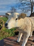 Beeld, life size and a lifelike (Texel lamb) - 43 cm -