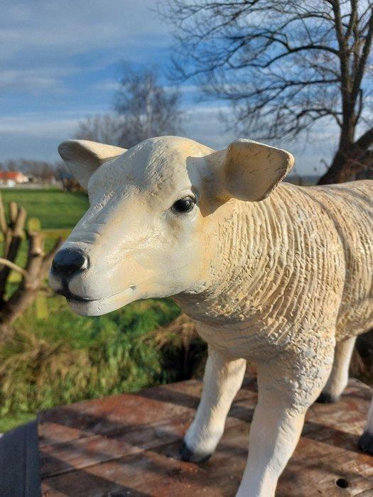 Beeld, life size and a lifelike (Texel lamb) - 43 cm -, Antiek en Kunst, Kunst | Designobjecten