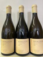 2020 Pierre-Yves Colin-Morey - Bourgogne Chardonnay - 3, Nieuw