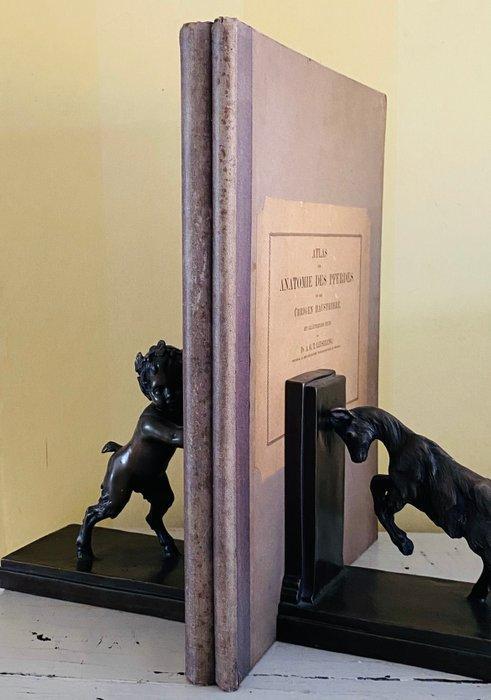 Dr. Leisering - Atlas der Anatomie des Pferdes und der, Antiek en Kunst, Antiek | Boeken en Bijbels