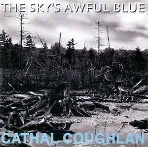 cd - Cathal Coughlan - The Skys Awful Blue, Cd's en Dvd's, Cd's | Rock, Zo goed als nieuw, Verzenden
