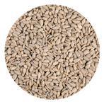 Zonnebloempitten 250g, Verzenden, Nieuw