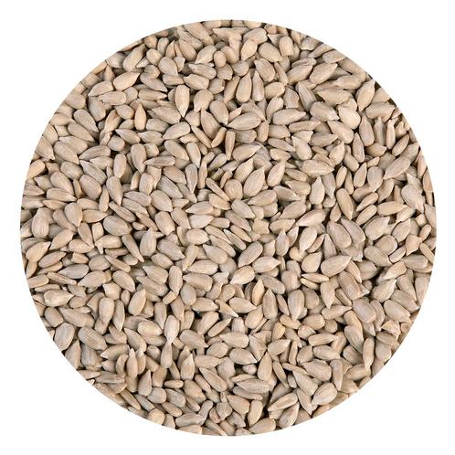 Zonnebloempitten 250g, Hobby en Vrije tijd, Taarten en Cupcakes maken, Nieuw, Verzenden