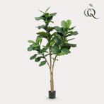 Kunstplant - Ficus Lyrata - Tabaksplant - 180 cm, Huis en Inrichting, Verzenden, Nieuw