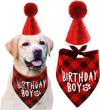 2-delige Honden verjaardags set Birthday Boy rood, Verzenden, Nieuw