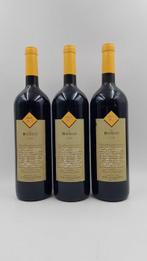 1998 Tenimenti d Alessandro, Bosco - Toscane - 3 Magnum, Verzamelen, Nieuw