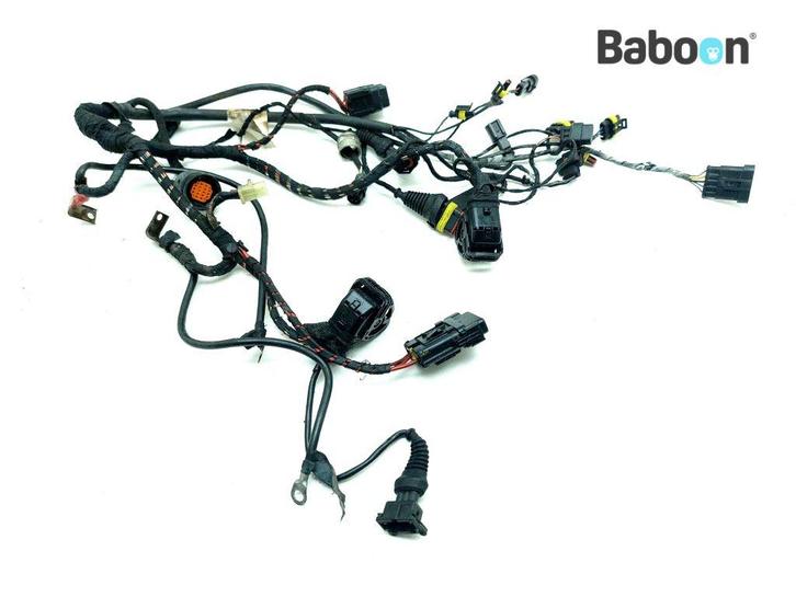 Kabelboom Ducati 749 (51012561B), Motoren, Onderdelen | Ducati, Gebruikt, Verzenden