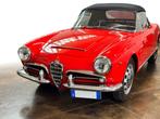 Alfa Romeo - Giulia Spider 1600 - 1962, Auto's