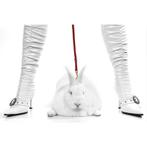 Pit Bull Bunny/Witte Laarzen 80x120x2cm, Antiek en Kunst, Antiek | Woonaccessoires, Ophalen of Verzenden