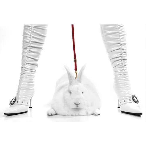 Pit Bull Bunny/Witte Laarzen 80x120x2cm, Antiek en Kunst, Antiek | Woonaccessoires, Ophalen of Verzenden