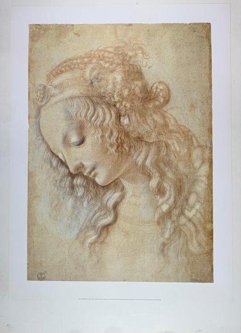 Leonardo da Vinci - Testa di Donna, Womans head - Artprint, Antiek en Kunst, Kunst | Tekeningen en Foto's