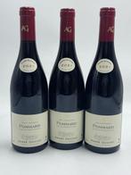 2021 André Goichot - Pommard - 3 Flessen (0.75 liter), Nieuw