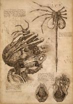 Boriani - 2x Alien, DaVinci, limited edition 8/20, Nieuw