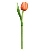 Houten tulp op steel 34 cm Orange white, Ophalen of Verzenden, Nieuw