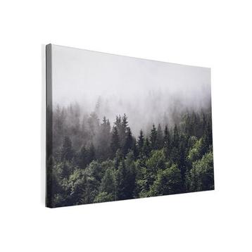 Foto op canvas Bos in de mist -