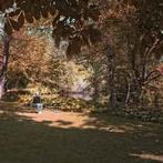 cd digi - Spinvis - 7.6.9.6., Verzenden, Zo goed als nieuw