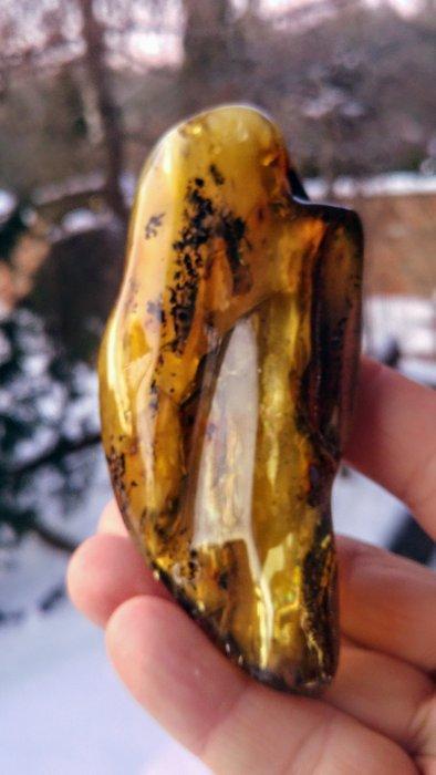 Baltisch barnsteen - Gepolijste steen met bloemachtige, Verzamelen, Dierenverzamelingen