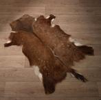 Nyala Huid Taxidermie Opgezette Dieren By Max, Verzamelen, Ophalen of Verzenden, Nieuw, Wild dier, Opgezet dier