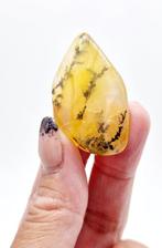Dendriet, Verzamelen, Ophalen of Verzenden