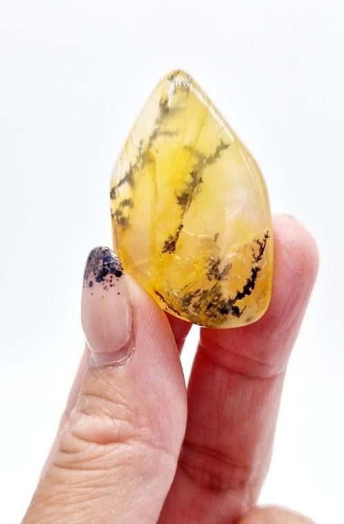 Dendriet, Verzamelen, Mineralen en Fossielen, Ophalen of Verzenden