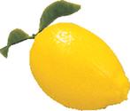 Decoratie citroen los, Verzenden