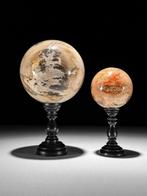 Gefossiliseerd hout - Wonderful Pair of Petrified Wood