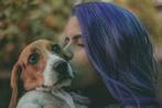 Honden verzekering, jij wil toch het beste voor jouw hond