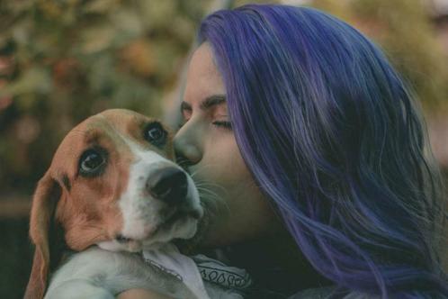 Honden verzekering, jij wilt toch het beste voor jouw hond, Dieren en Toebehoren, Honden-accessoires, Nieuw
