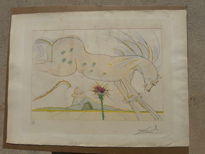 Salvador Dali (1904-1989) - Le Cheval et le Loup, Antiek en Kunst, Antiek | Overige Antiek