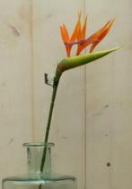Kunstparadijsvogelbloem strelitzia op steker oranje - Warent, Nieuw, Verzenden