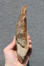 Paleolithisch Vuursteen Bijl - 20 cm