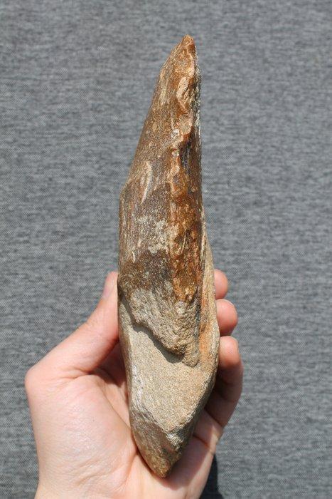 Paleolithisch Vuursteen Bijl - 20 cm, Antiek en Kunst, Antiek | Overige Antiek