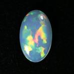 Opaal - 5.51 ct - Antwerp Laboratory for Gemstone Testing, Nieuw