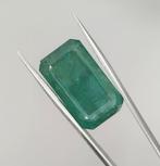 1 pcs Smaragd - 19.37 ct - International Gemological, Sieraden, Tassen en Uiterlijk, Edelstenen, Nieuw