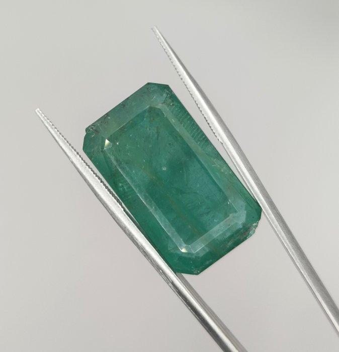 1 pcs Smaragd - 19.37 ct - International Gemological, Sieraden, Tassen en Uiterlijk, Edelstenen