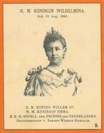 Portrait of Wilhelmina of the Netherlands
