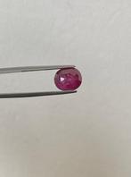 Zonder Minimumprijs - 1 pcs Rood Robijn - 5.93 ct - Lotus, Nieuw