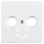 Centraalplaat | Busch-Jaeger | Future Linear, Verzenden, Nieuw