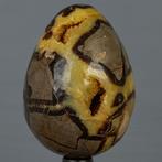 Septaria Wild Yellow Crystals Fine Large Wild Septaria