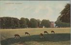 S GRAVENHAGE - Hertenkamp, Verzamelen, Verzenden, Gelopen