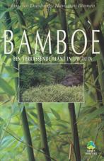 Bamboe / De groenboekerij 9789021523149 Hans van Biemen, Boeken, Hobby en Vrije tijd, Verzenden, Gelezen, Hans van Biemen